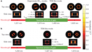 Figure 2. The EM like plasmonic modes that can be supported by the cavity. Two different structures support different modes. Some of the modes can be pump and excited by 1064 nm laser. Courtesy of M. Khajavikhan et al. in Nature 482 204 (2012).